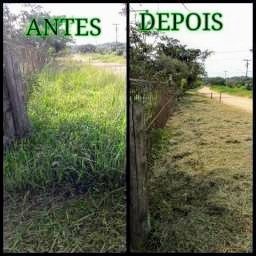 Cargas de Entulho, Terra, Madeira, Pladur, Limpeza de jardins, Pintura