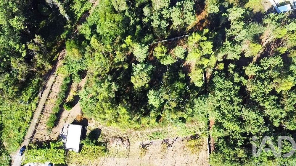 Terreno para construção em Forjães de 2351,00 m2