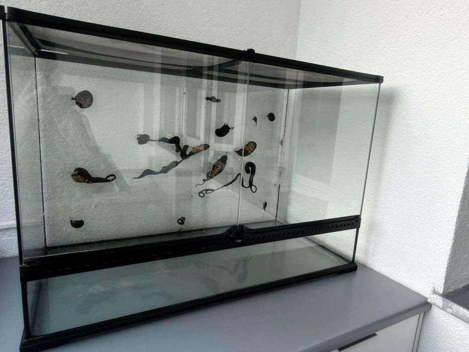 Terrarium Exoterra 90x45x60