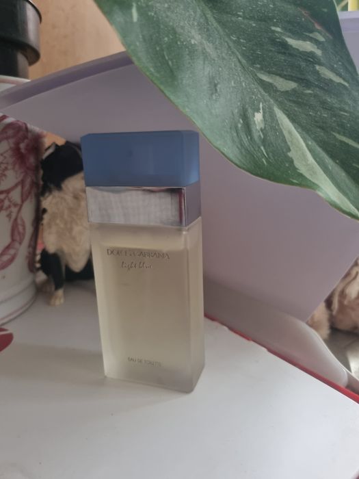 Dolce Gabbana Light Blue edt 50ml