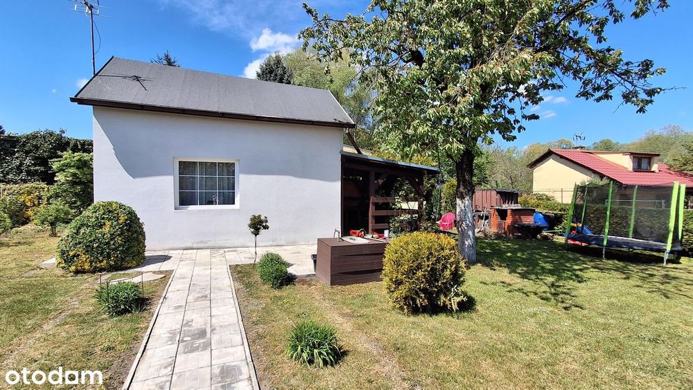Piękna duża działka (501m2) na ROD im. J. Kłapczyka w Żorach