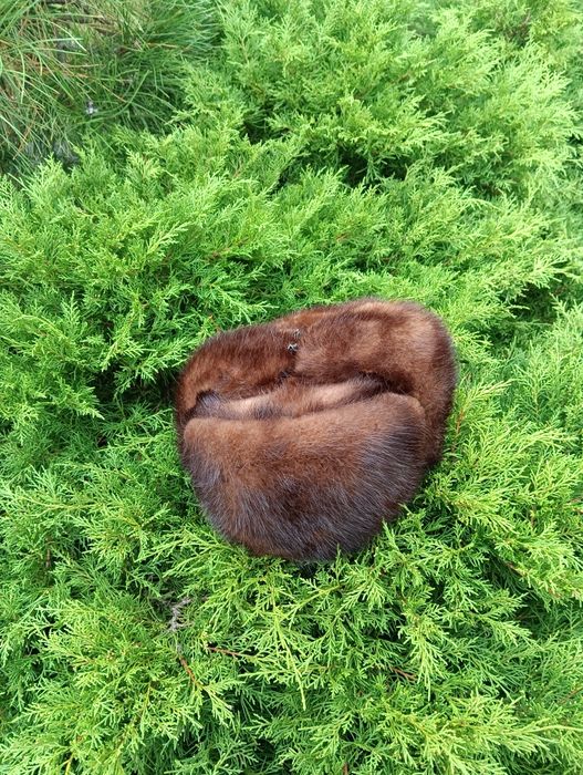 женская  норковая  шапка 56 р.