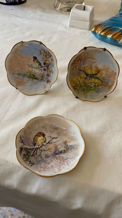 Conjunto pratos decorativos