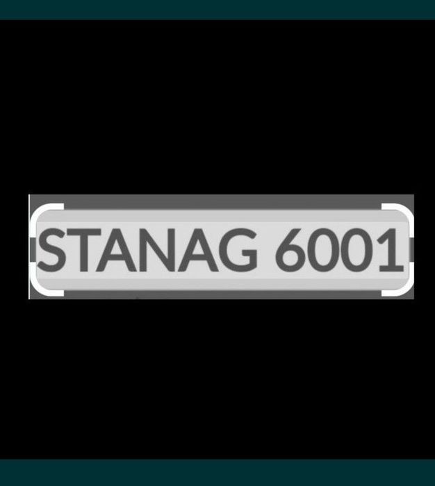 STANAGMASTER*COM level 1-2-3. Kurs indywidualny online 3x50 min