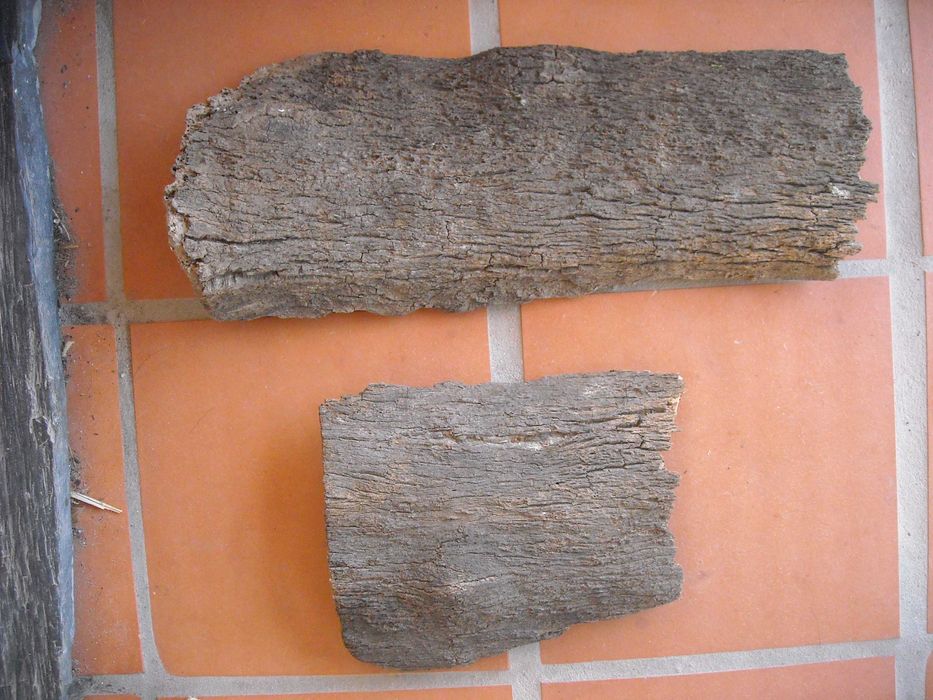 Casca rodela tronco fatia cortiça aquario terrario decoraçao