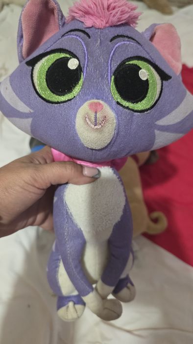 Bingo , rolley e gata