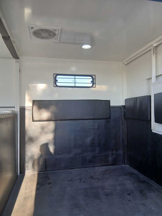 Renault Master transporte de cavalos