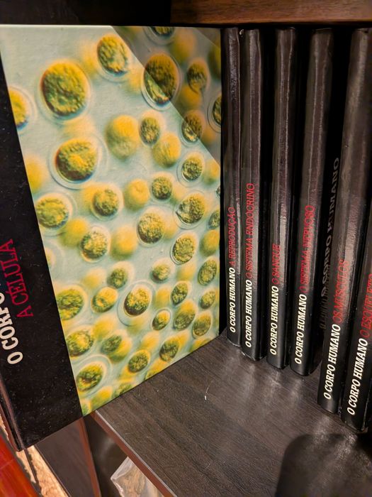 15 Livros (Colecção O Corpo Humano)