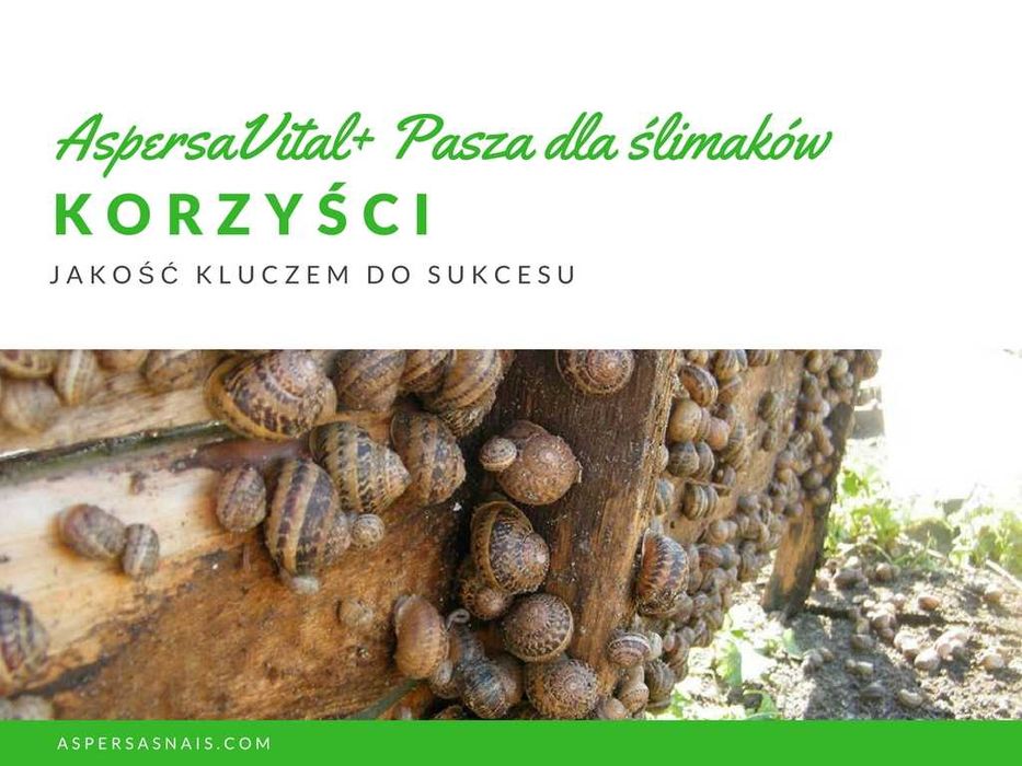 Pasza dla Ślimaków AspersaVital+odchów Hodowla Tansport Gratis