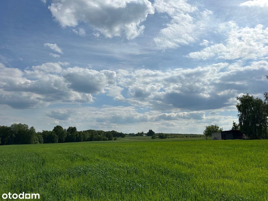 Piękna słoneczna działka budowlana na wzgórzu WZ k. Staszów - Widok 2