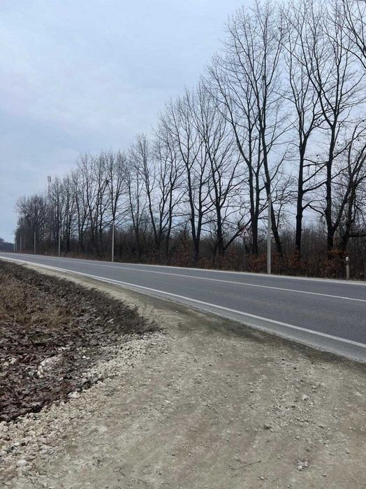 Продаж / Земля під інд. будівництво / Любовичі