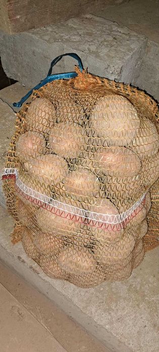 Ziemniaki bellarosy