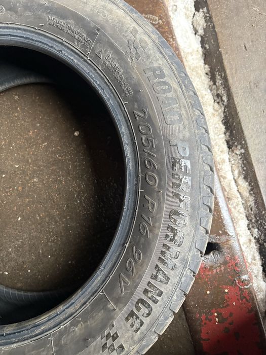 Kormoran Performance 2024р.