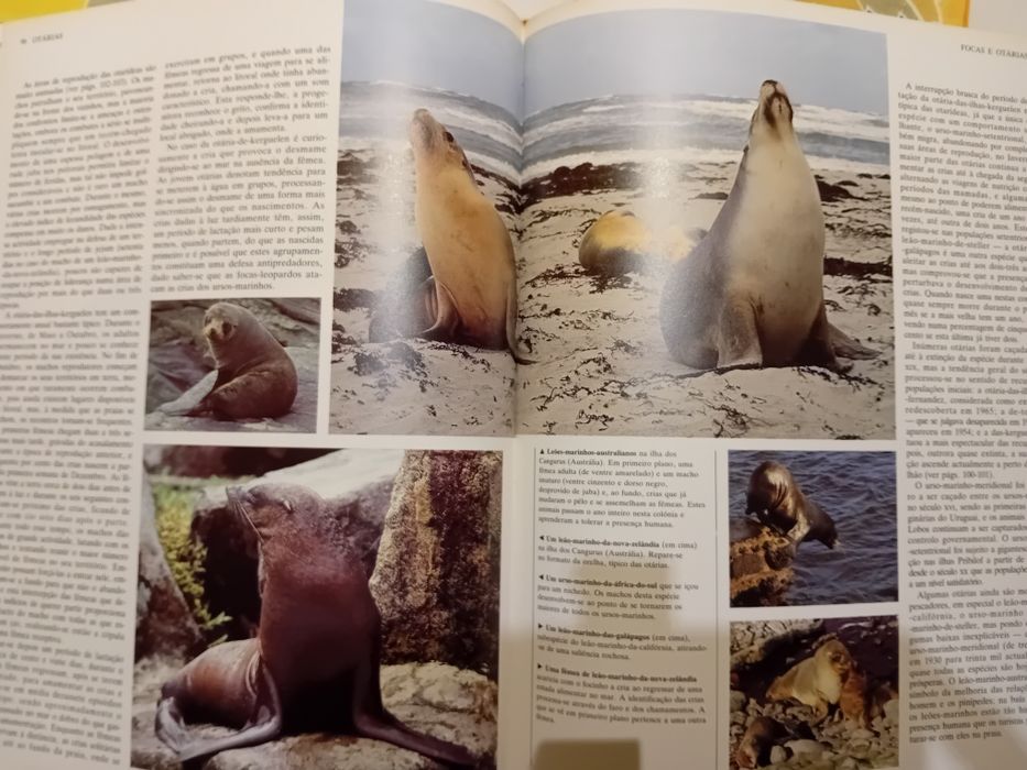 Animais de todo o mundo