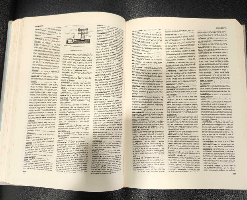 Livros - Enciclopédia da Língua Portuguesa - 2 Volumes