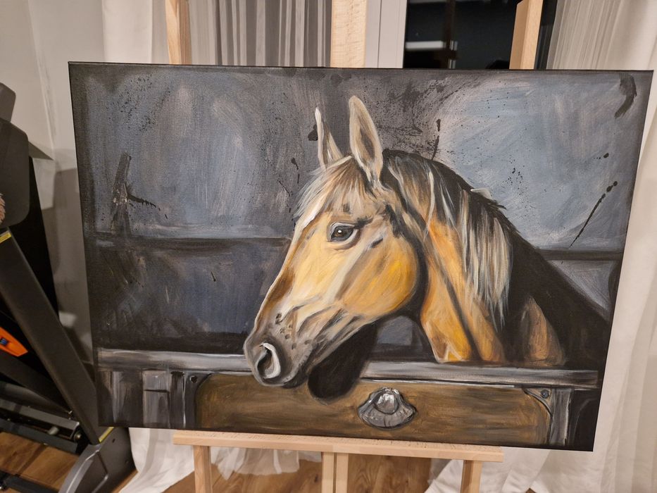 Portret konia w stajni