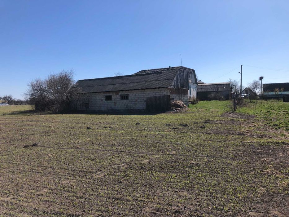 Продам будинок 80 км.від м.Києва смт.Брусилів (Водотиї)