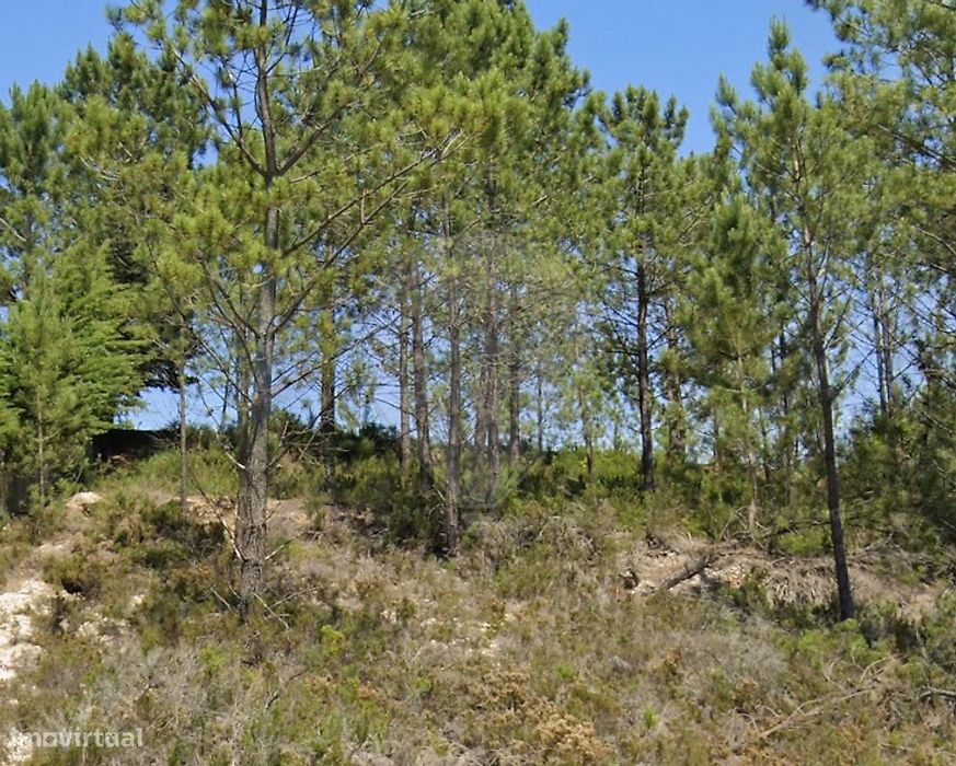 Terreno  para venda — Nossa Senhora Misericórdias, Santarém