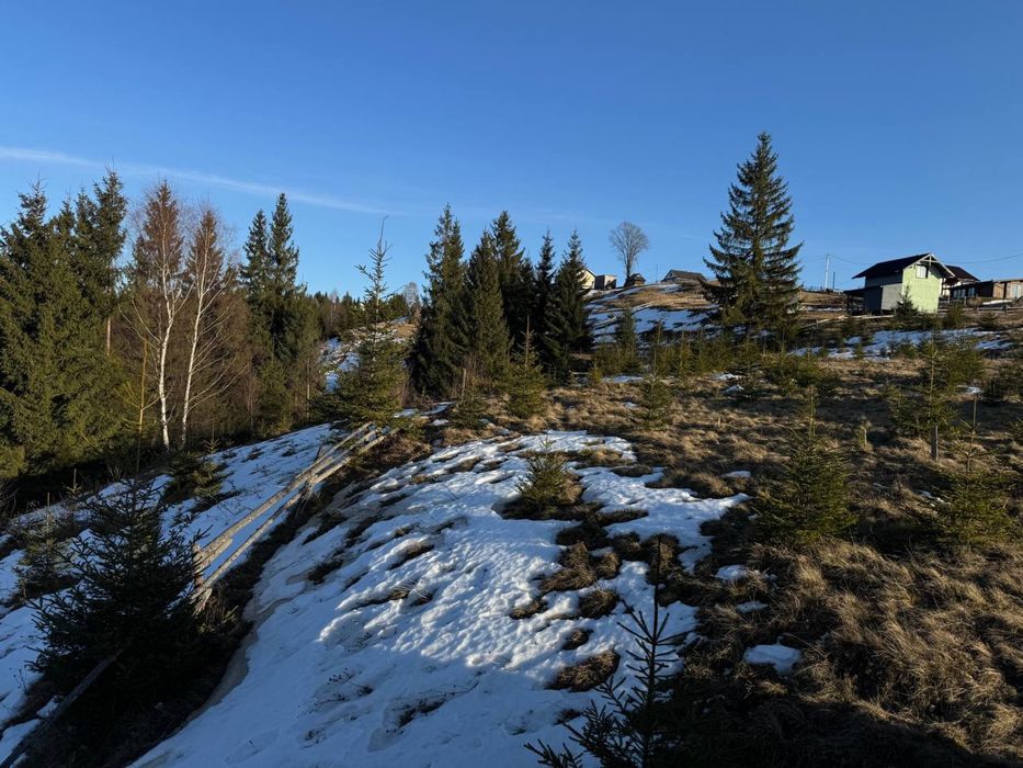 Земельні ділянки в Яблуниці