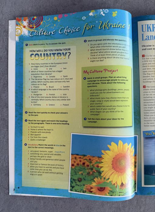 Книга Culture Choices for Ukraine