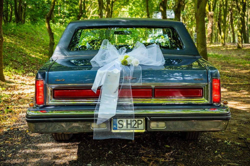 Niebieski Lincoln Town Car 5.0 V8 1984