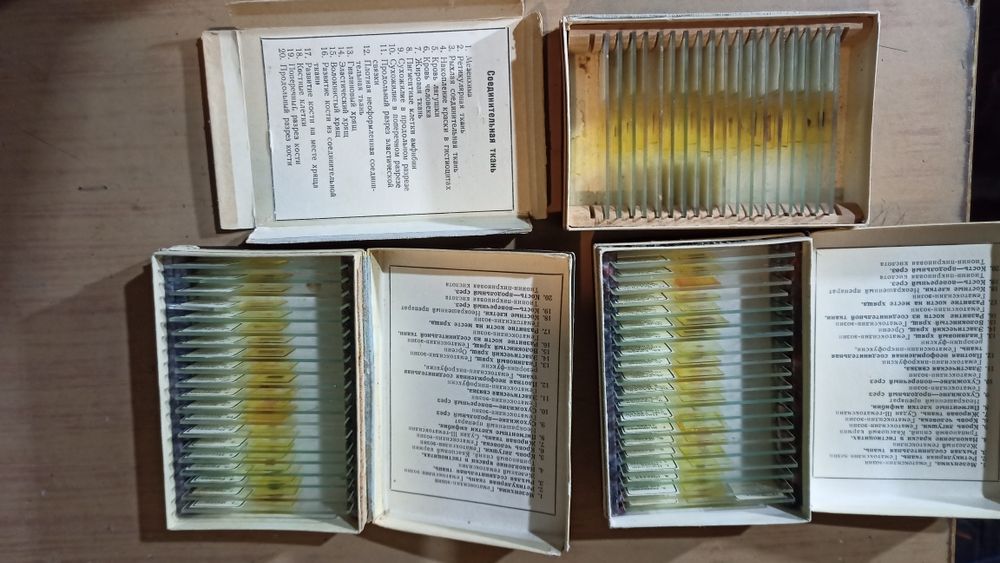 Лабораторные образцы тканей