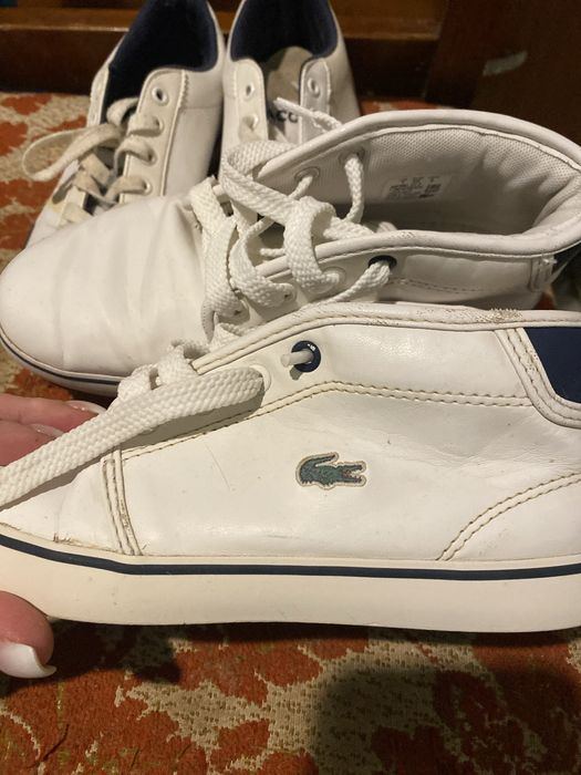 Кросівки lacoste  оригінал