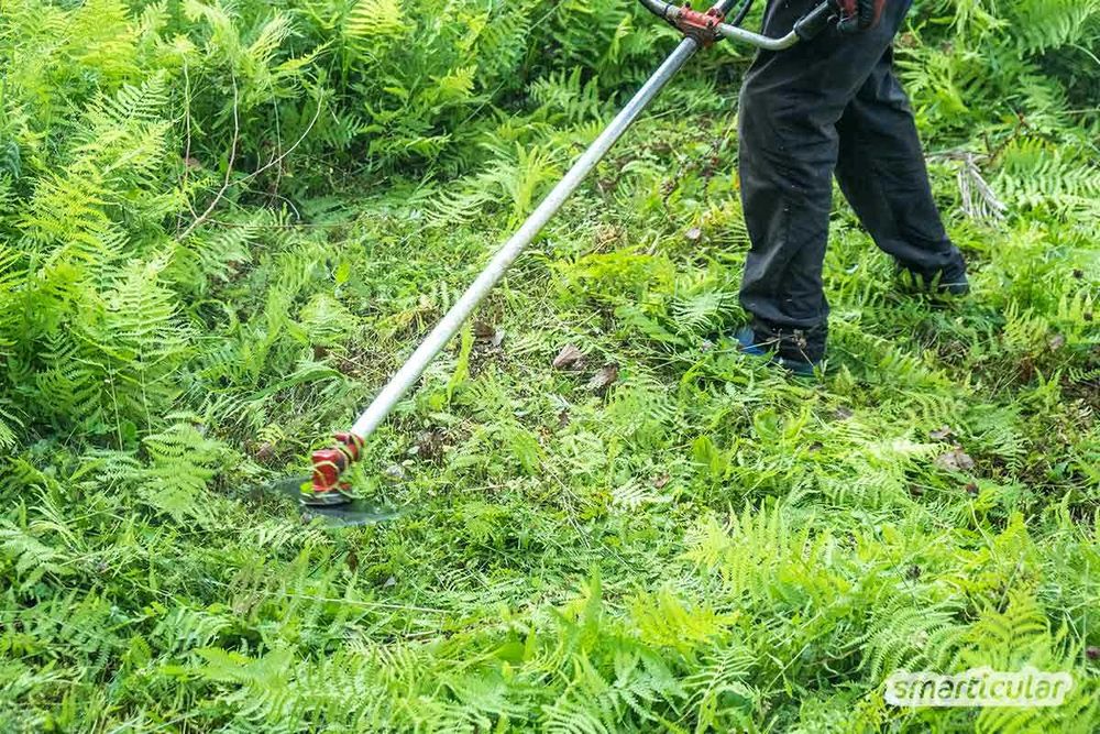 Serviço de limpeza de terrenos