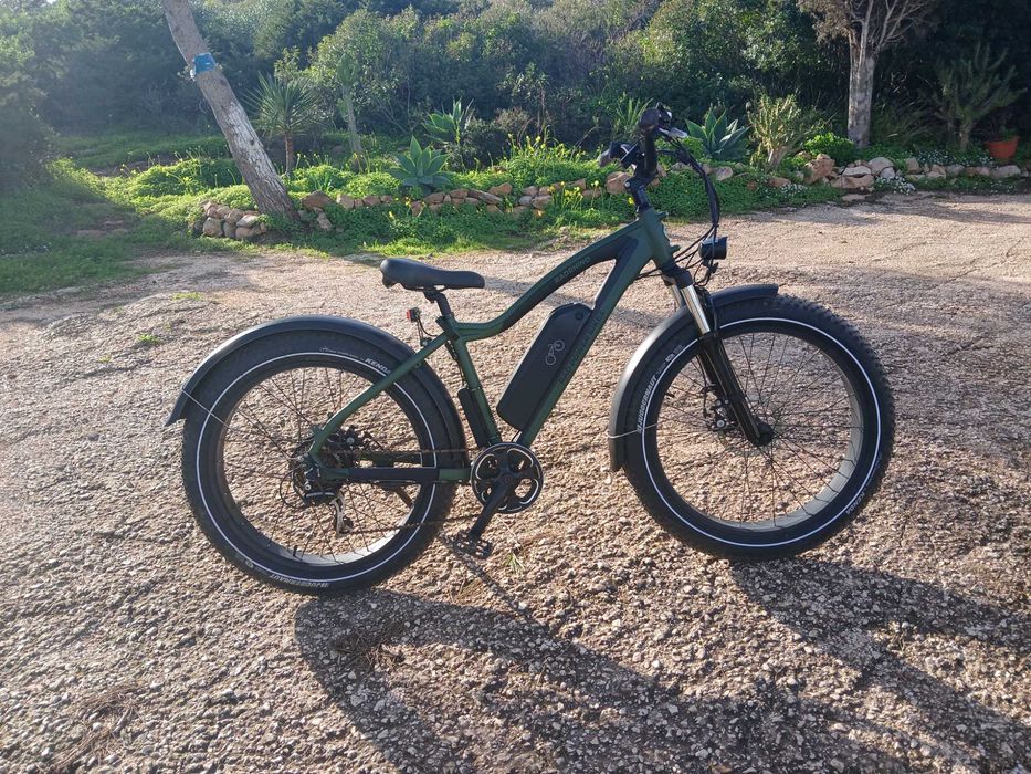 Mens Electric Bicycle Radrinho Power Bike