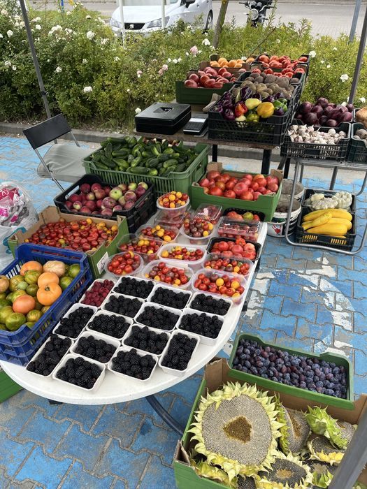 Ekologiczne warzywa i owocowe z poletka w Mirkowie ul. Kalinowa 3A