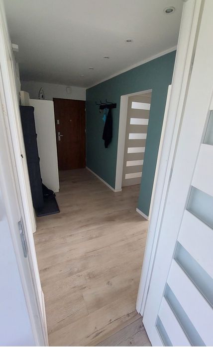 Wynajmę pokój ul.Meissnera