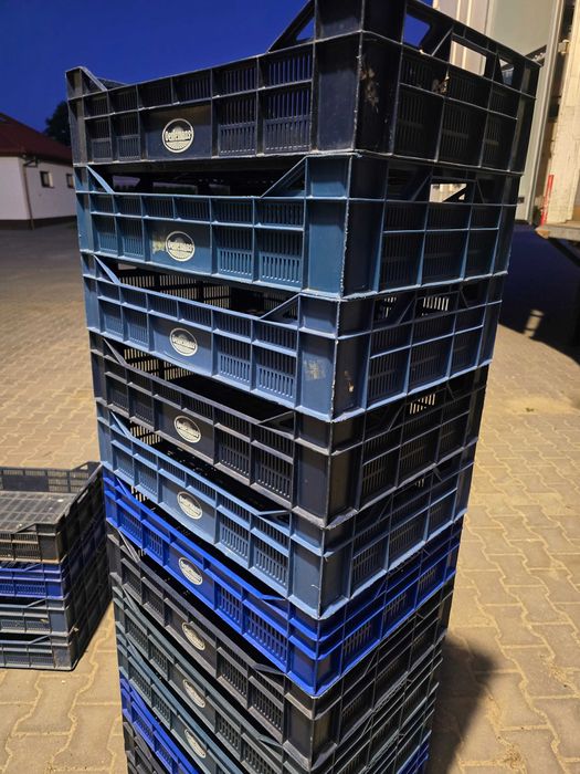 Skrzynki plastikowe oerlemans