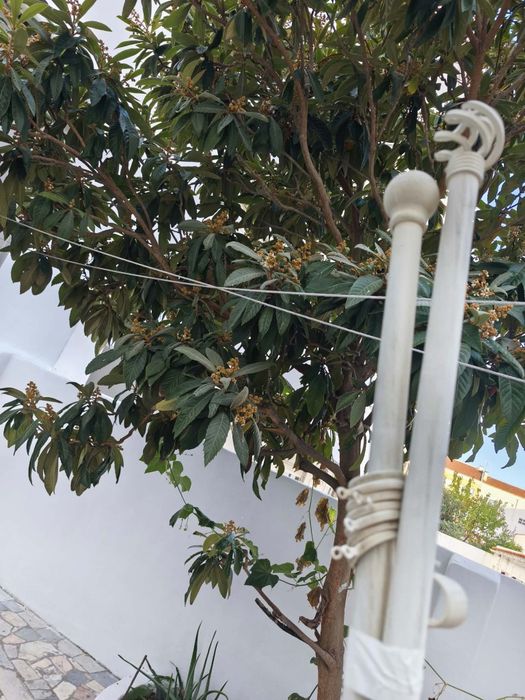Varões de cortinados