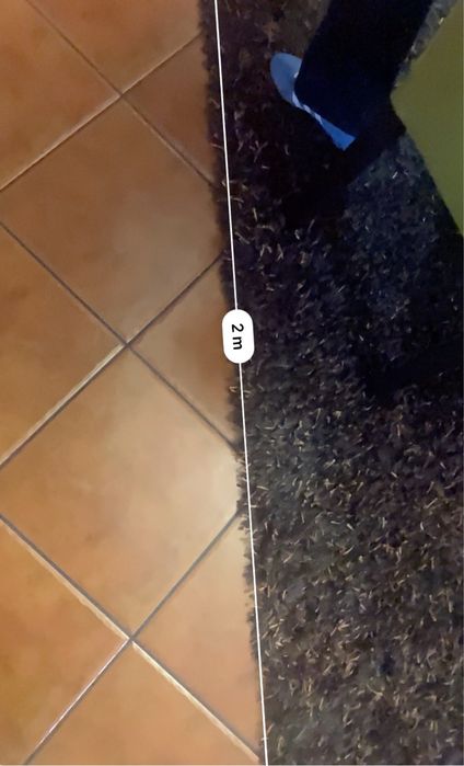 Carpete usada em bom estado.