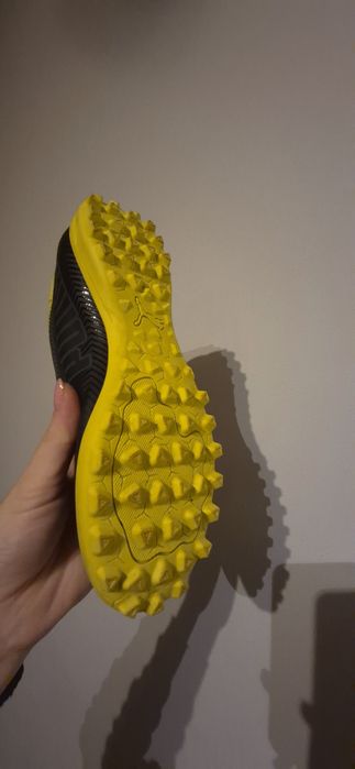 Сороконіжки + щитки в подарунок!