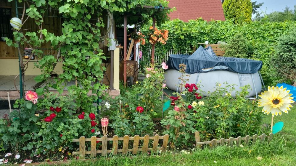 Ogródek działkowy ROD - Widok 3