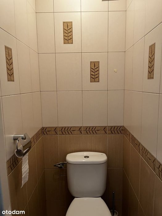 Zdjęcie 6
