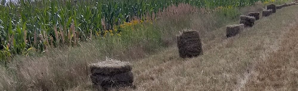 Sprzedam słomę  w kostkach