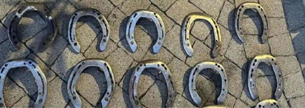 4 podkowy na prezent + 2 zwykłe