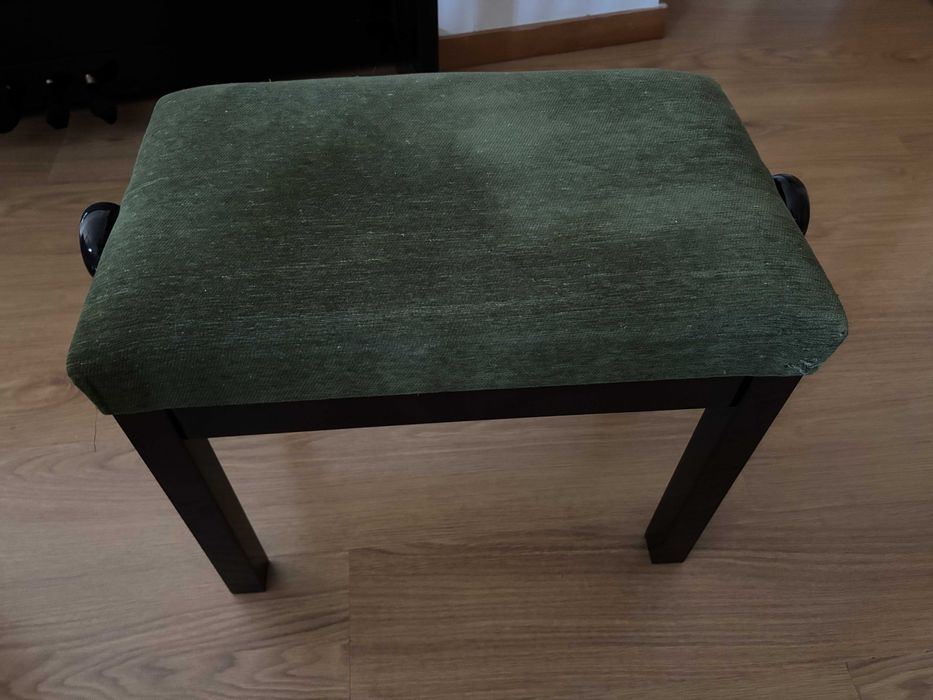 Piano Gunther 7 oitavas