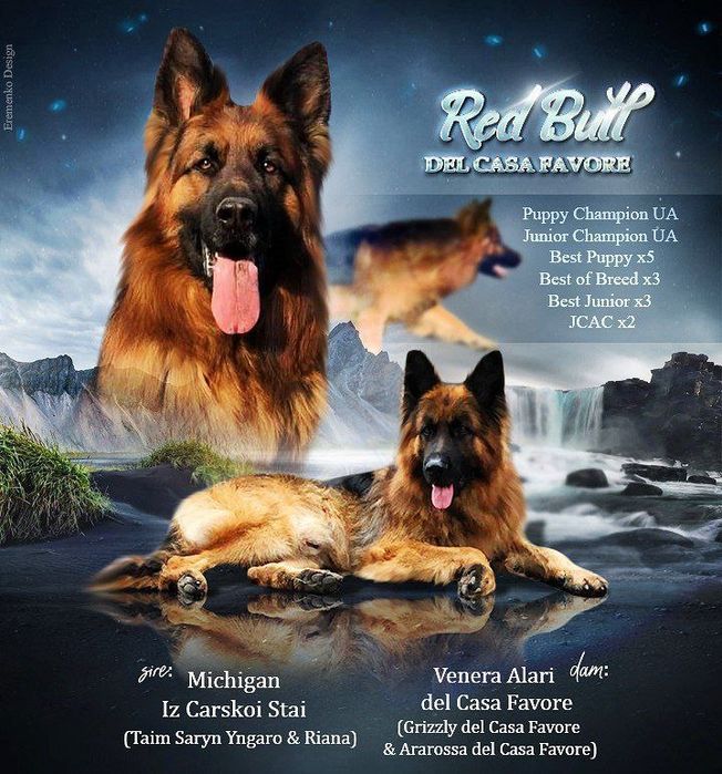 Кобель для вʼязки