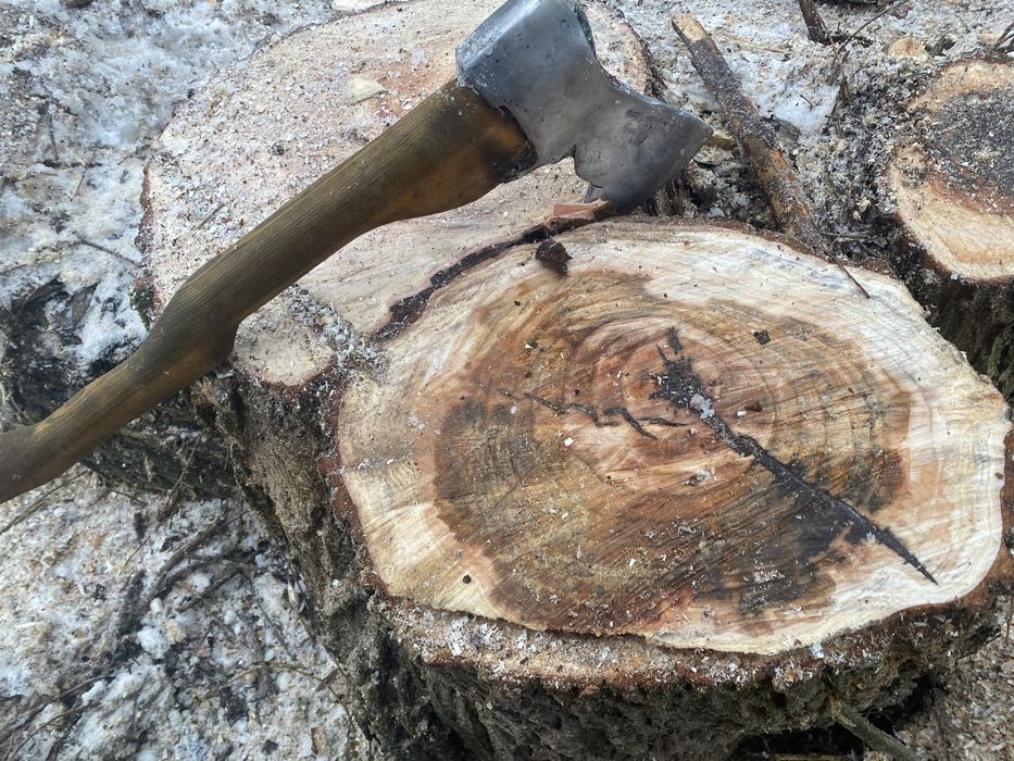 Дрова - купи тепло в свое жилище