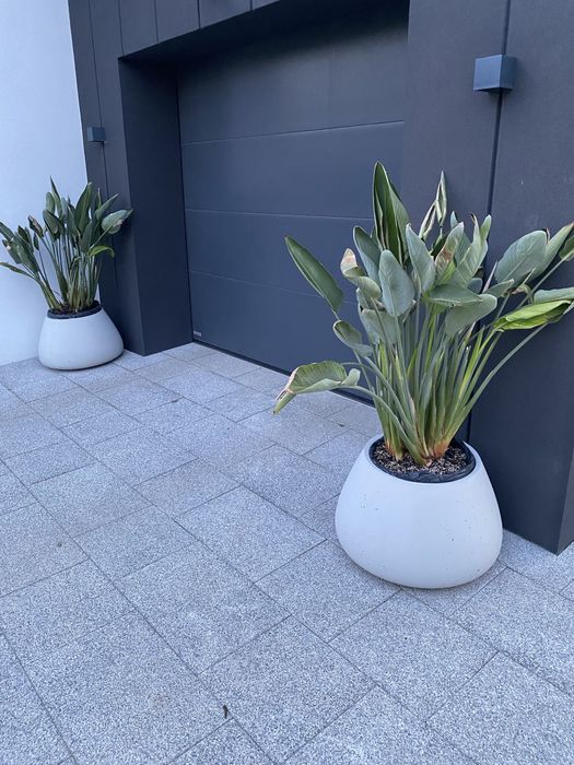 Donica betonowa szara beton architektoniczny