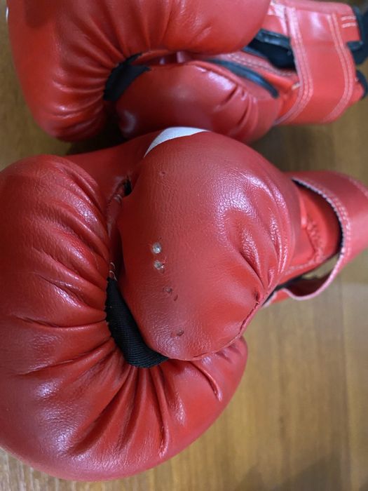 Перчатки для боксу (  10 )и шлем Everlast (M) Б/У