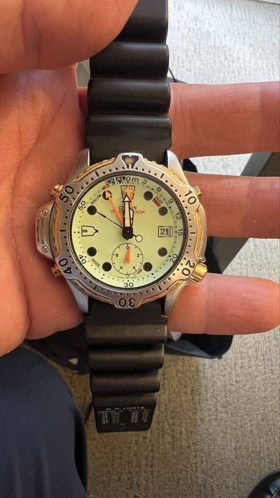 Citizen Promaster