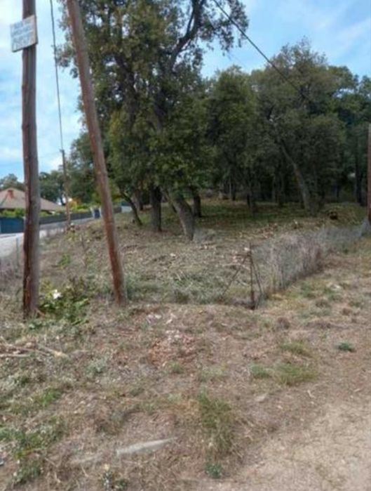 Limpieza de terrenos