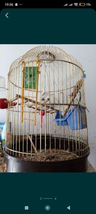 Клетка для попугая