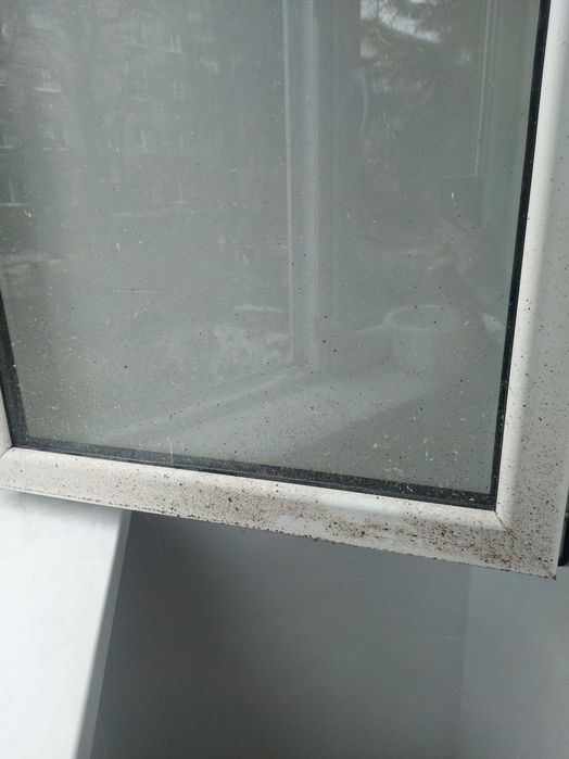 Usługi sprzątania - Firma Sprzątająca Joanna Polak