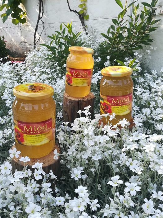 Naturalny miód pszczeli z własnej pasieki_ekologiczny