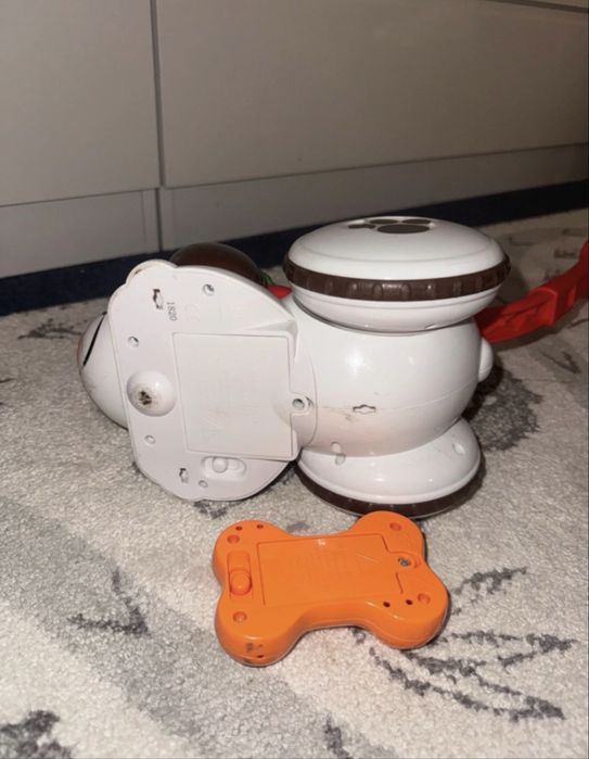 Cão detetive chicco